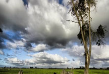 世界杯抢七大战对决在即！那不勒斯演练定位球，阿森纳密集防守应对(阿森纳vs那不勒斯录像)